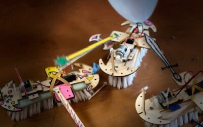 Robot brosse de combat