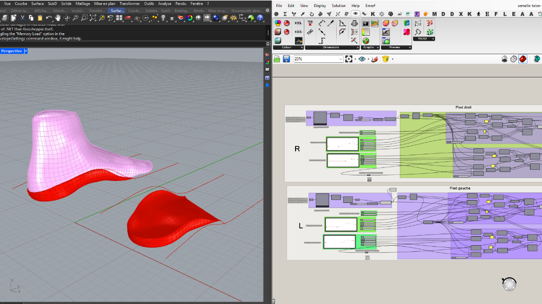 Développement logiciel de podologie
