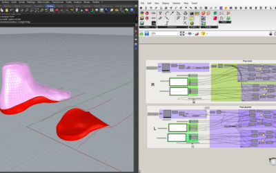 Développement logiciel de podologie